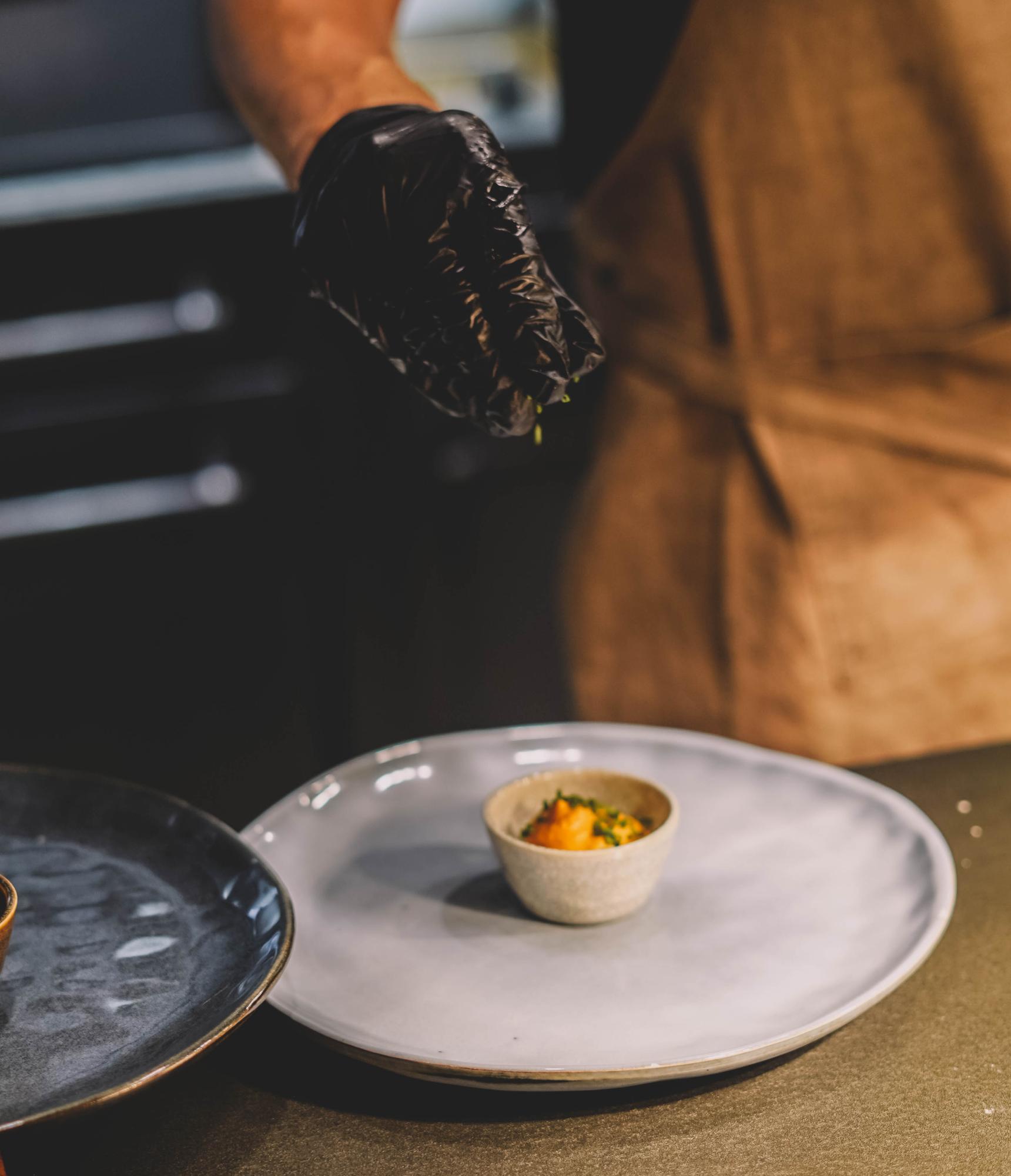 Chef plating a refined dish on a ceramic plate